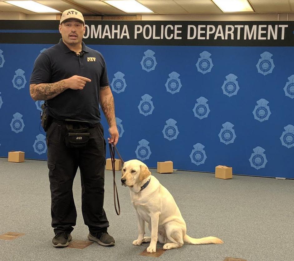 Explosive Detection Dog, 8/19